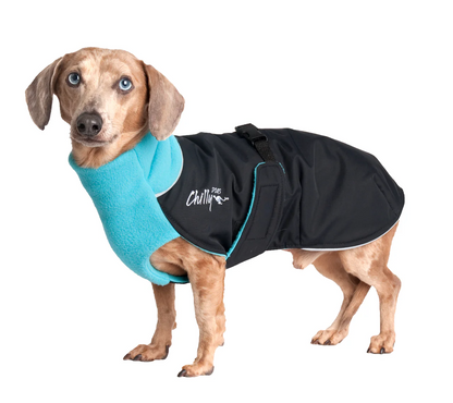 Chilly Dogs🍁 17" Arctic Blue Broad & Burly Great White North Coat