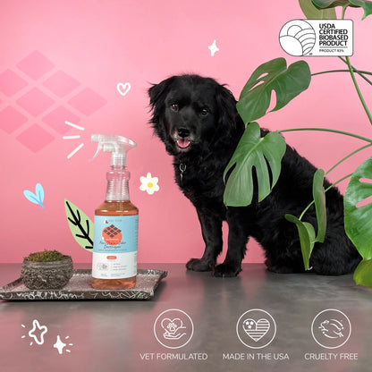 Kin+Kind Pee+Stain+Odor Destroyer Citrus (Multi-Surface)