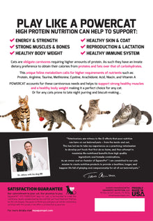 SquarePet PowerCat Herring & Salmon 2kg