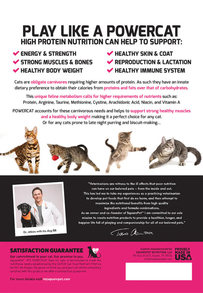 SquarePet PowerCat Herring & Salmon 2kg