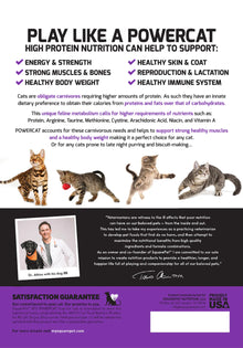 SquarePet PowerCat Turkey & Chicken 2kg