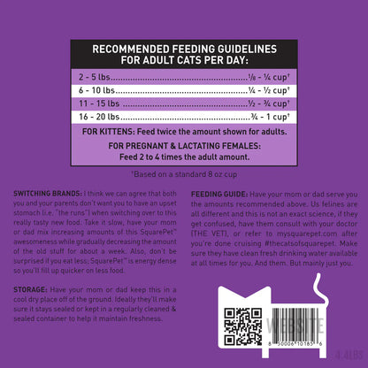 SquarePet PowerCat Turkey & Chicken 2kg