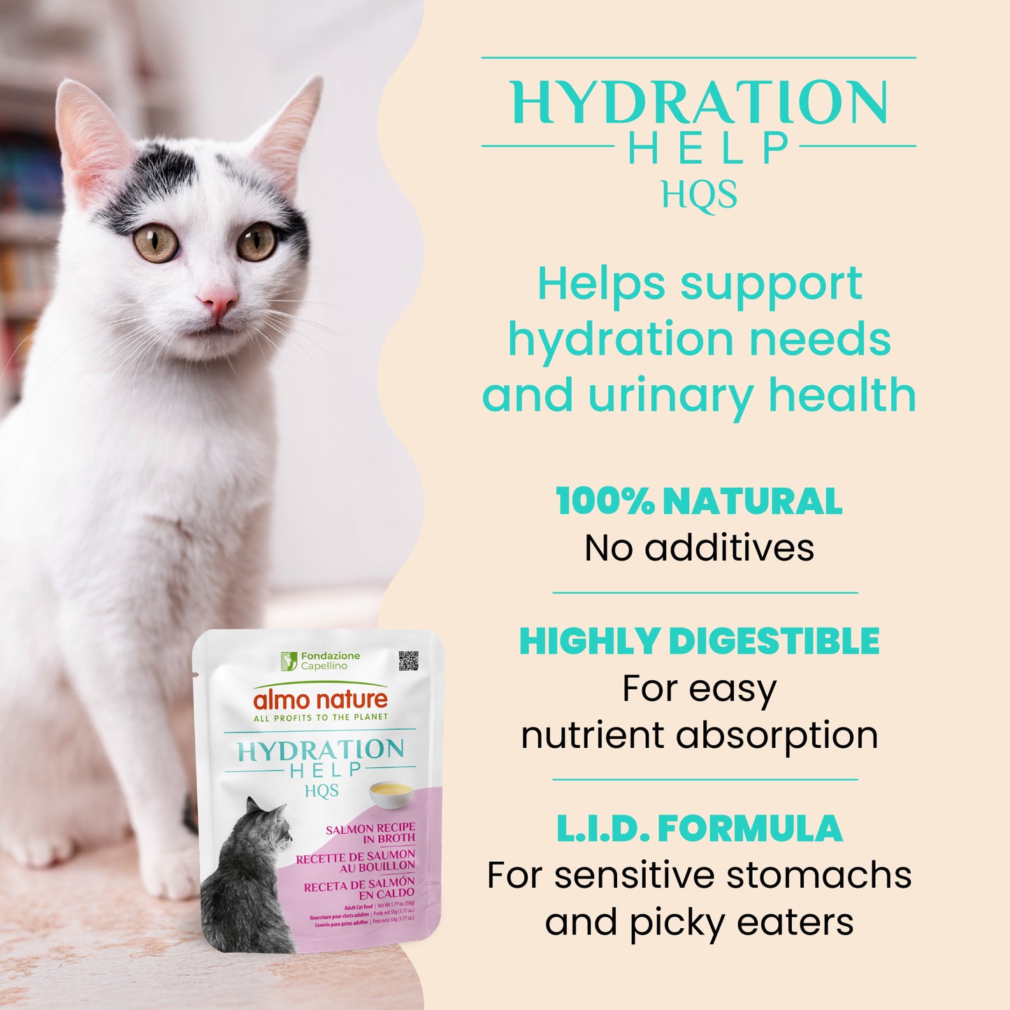 Almo Nature Hydration Help HQS Salmon Recipe in Broth Cat Food 50g