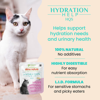Almo Nature Hydration Help HQS Salmon Recipe in Broth Cat Food 50g