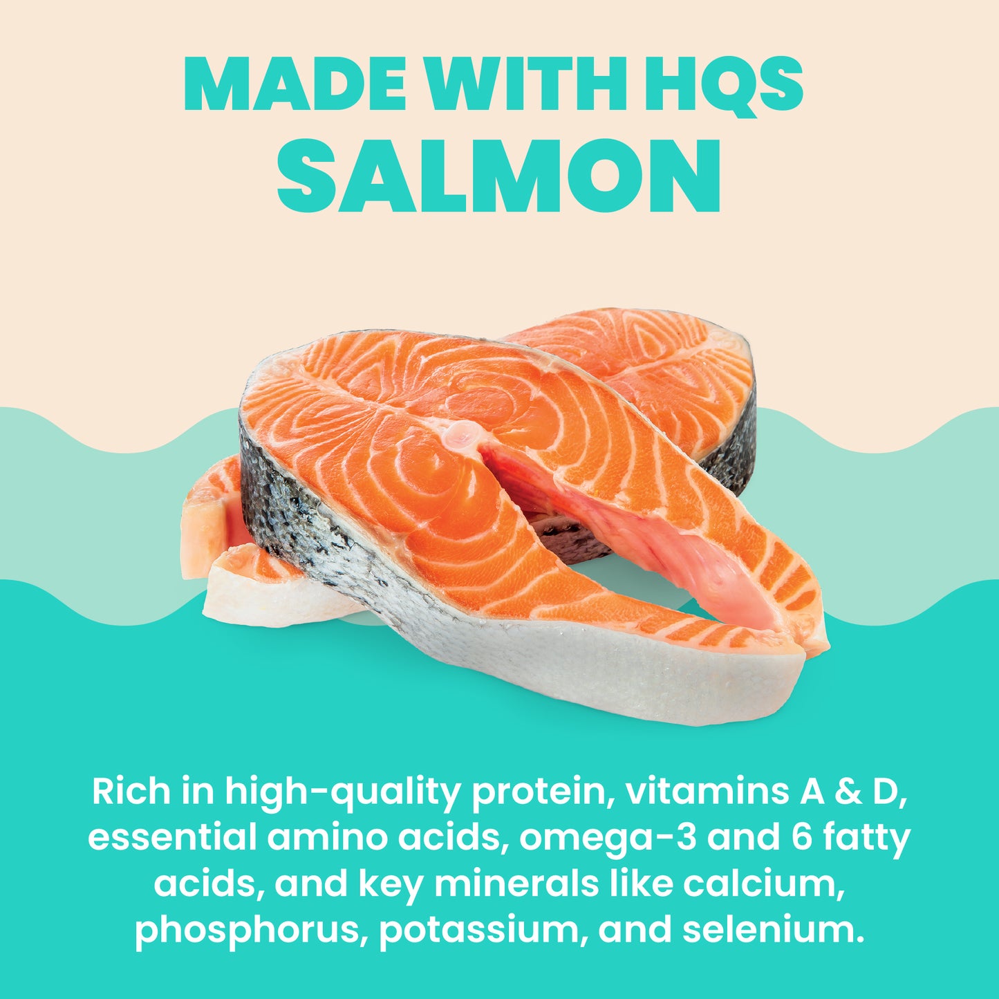 Almo Nature Hydration Help HQS Salmon Recipe in Broth Cat Food 50g