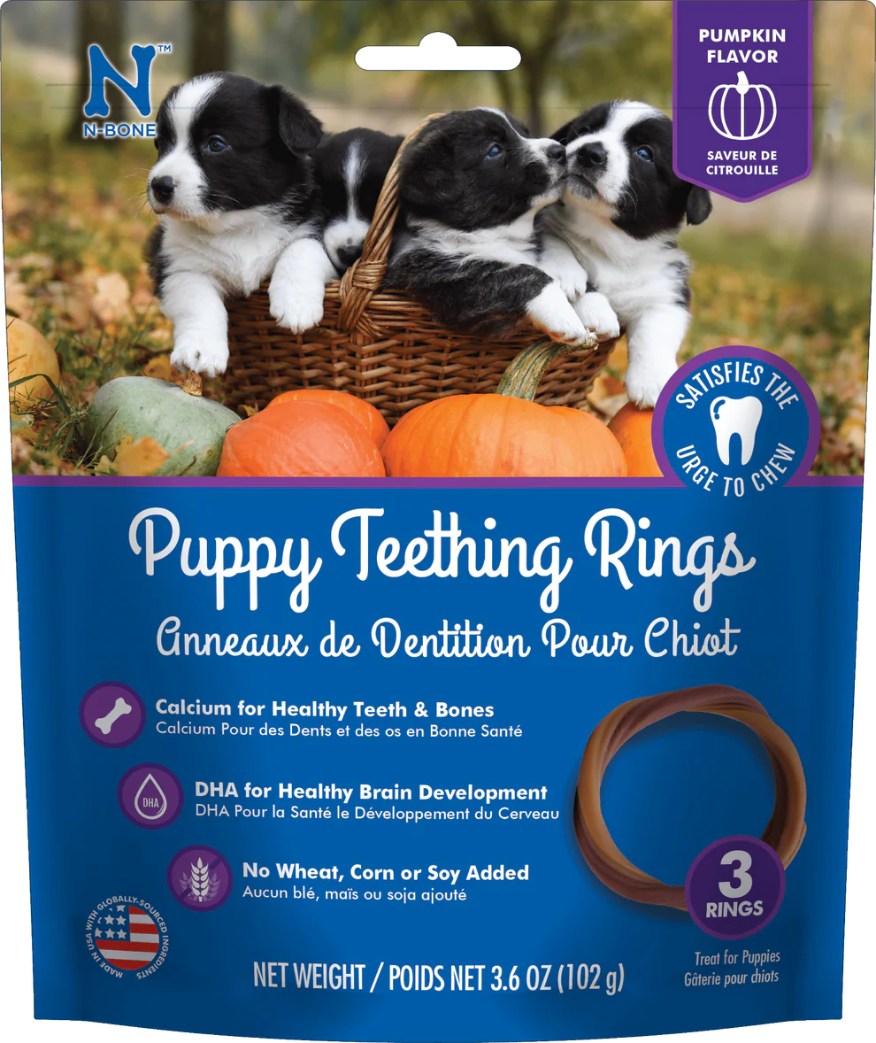 N-Bone Pumpkin Puppy Teething Rings