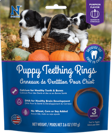 N-Bone Pumpkin Puppy Teething Rings
