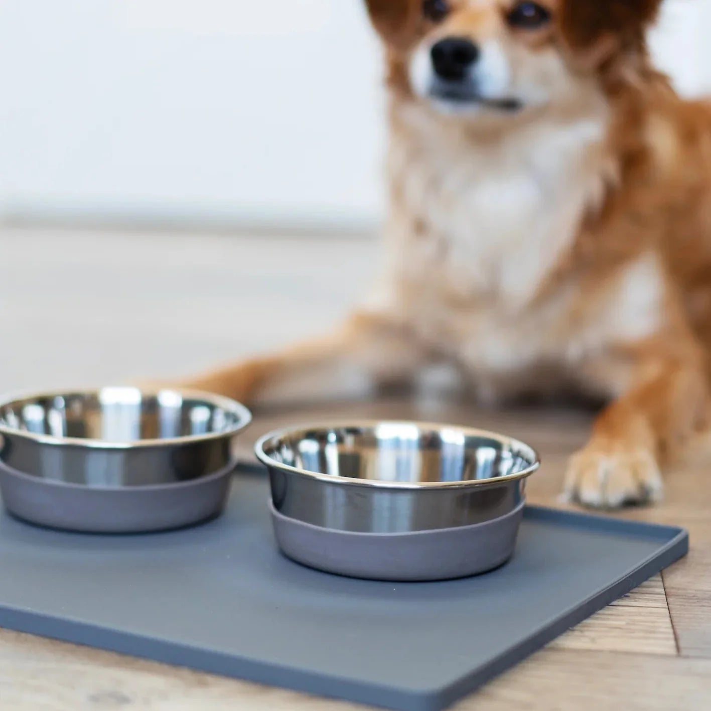 Messy Mutts 🍁 Dark Grey Silicone Mat w/ Metal Rods