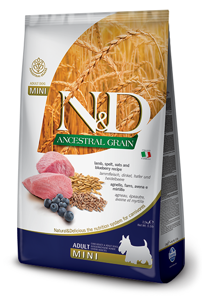 Farmina N & D Adult Mini Ancestral Grains Lamb & Blueberry for Dogs 2.5KG