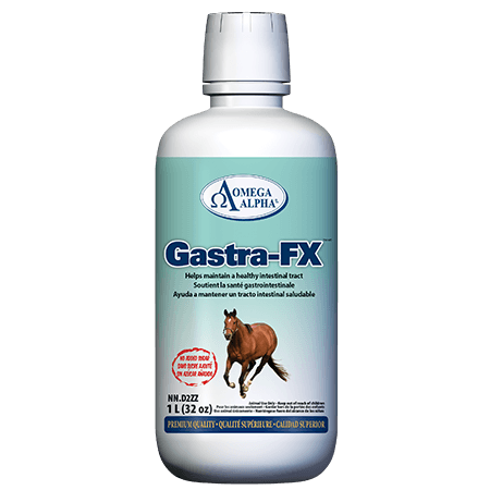 Omega Alpha 🍁Equine Gastra-FX 1 Litre