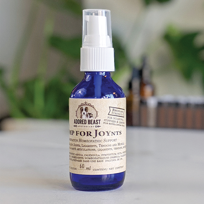 Adored Beast Apothecary 🍁Jump For Joynts - Regular 60Ml 🍁