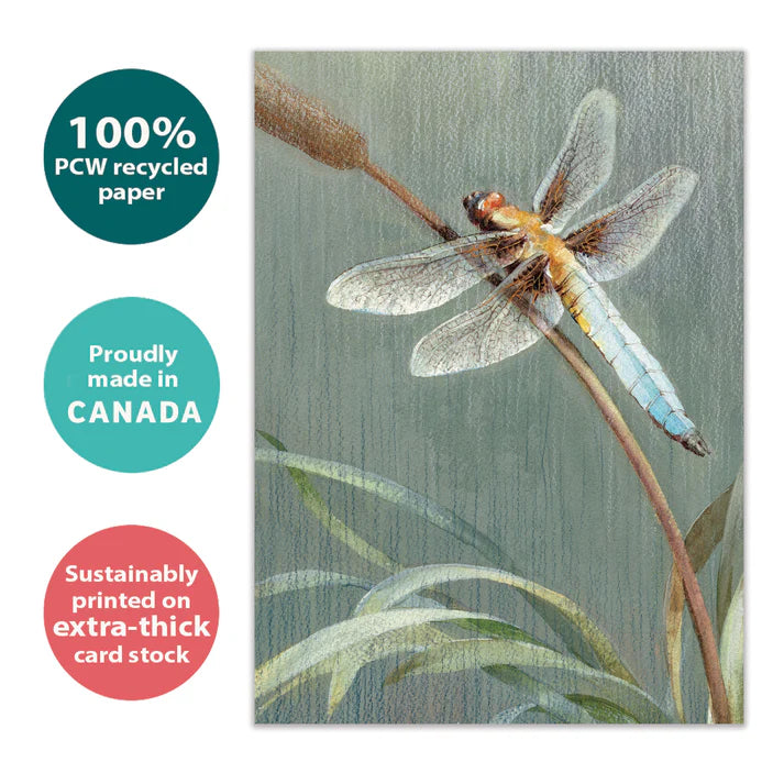 Tree Free Greetings🍁 Dragonfly Sympathy Card