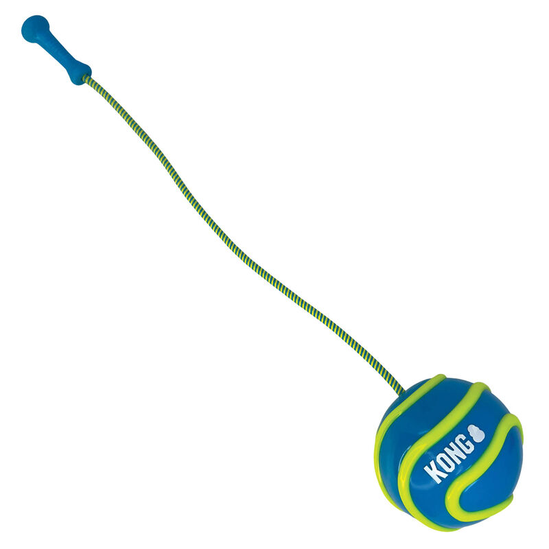 Kong Bunji Hi-Viz Ball
