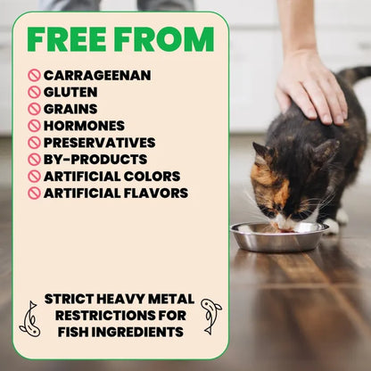 Almo Natura HQS Natural Chicken Breast in Broth for Cats 70g