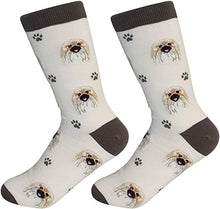 Unisex Sock Daddy Pekingese