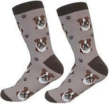 Unisex Sock Daddy Bulldog