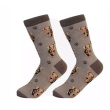 Unisex Sock Daddy Airedale