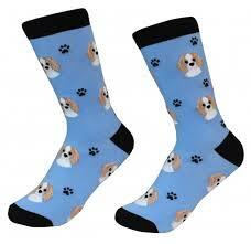 Unisex Sock Daddy Cavalier King Charles