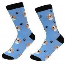 Unisex Sock Daddy Cavalier King Charles