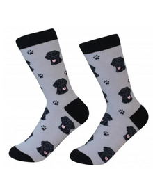 Unisex Sock Daddy Labrador,Black