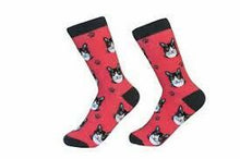 Unisex Sock Daddy Black And White Cat