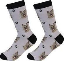 Unisex Sock Daddy Cairn Terrier