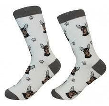Unisex Sock Daddy Chihuahua - Blk/Tan