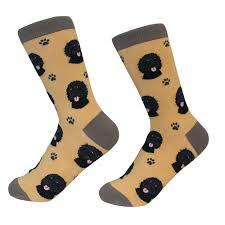 Unisex Sock Daddy Labradoodle , Black