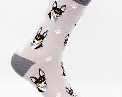 Unisex Sock Daddy Rat Terrier