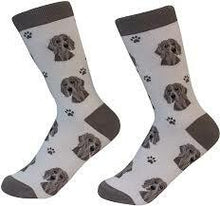 Unisex Sock Daddy Weimeraner