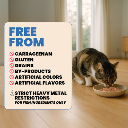 Almo Nature HQS Complete Cat Food - Salmon Recipe With Apple In Gravy 70g