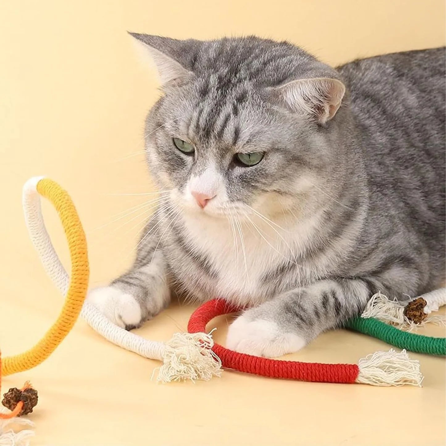 Teething Ropes for Cats