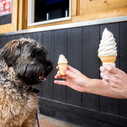 Bosco & Roxy's 🍁3D Soft Serve Ice Cream  Dog Treat