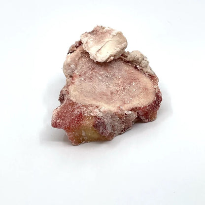 Artisan Farms🍁 Frozen 1" Marrow Bones 3lb