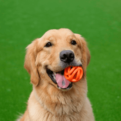 Chuck It! AIR Fetch Ball
