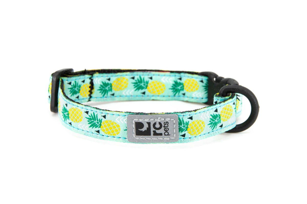 RC Pets🍁 Pineapple Kitty Breakaway Collar