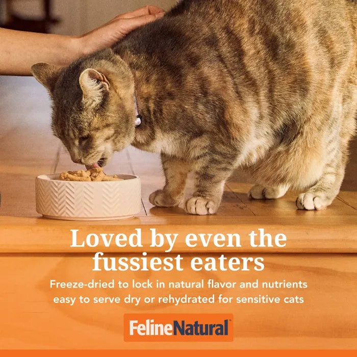 Feline Natural™ New Zealand Chicken & King Salmon Feast Freeze Dried Cat Food