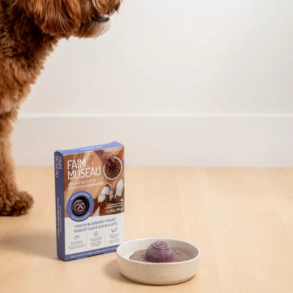 Faim Museau 🍁Healthy Delicacies Frozen Blueberry Yogurt 6 x 30g