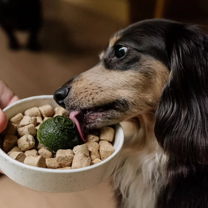 Faim Museau 🍁Healthy Delicacies Green Smoothie 6 x 30g  🍁