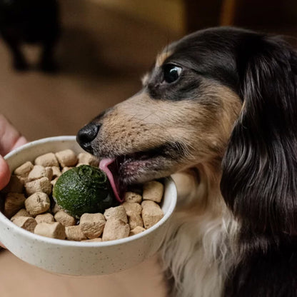 Faim Museau 🍁Healthy Delicacies Green Smoothie 6 x 30g  🍁