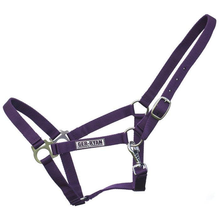 Ger-Ryan Purple Premium Nylon Halter - Full Horse