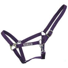 Ger-Ryan Purple Premium Nylon Halter - Full Horse