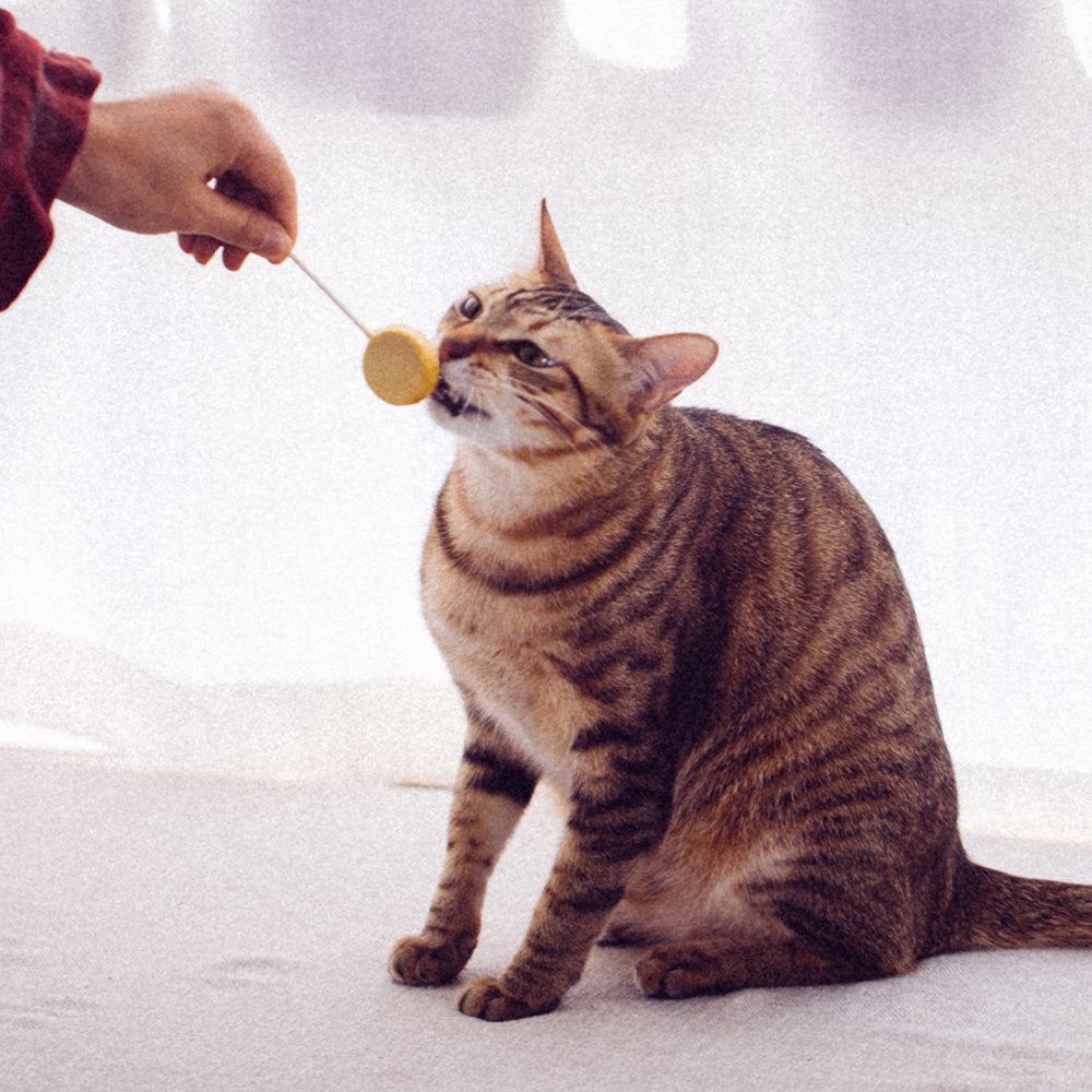 Ranova Freeze Dried Lollipop for Cats