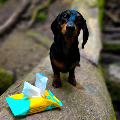 Furree & Tickless Natural Insect Wipes 20ct