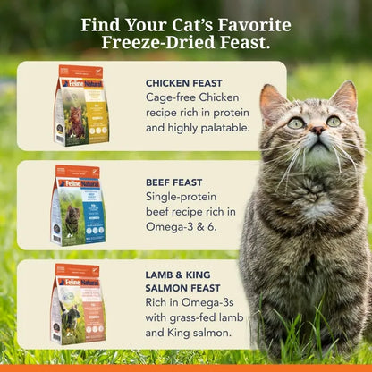 Feline Natural™ New Zealand Chicken & King Salmon Feast Freeze Dried Cat Food