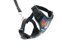 RC Pets 🍁Trail Badges Adventure Kitty Harness