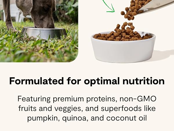 Open Farm® Puppy Ancient Grains Dry Dog Food
