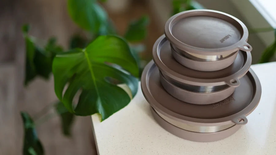 Messy Mutts 🍁Stainless Steel Heavy Gauge Bowl with Non-Slip Removable Silicone Base
