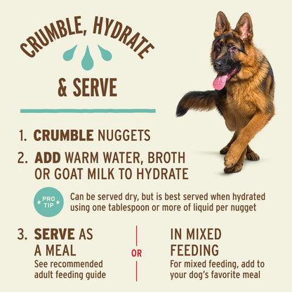 Primal Freeze Dried Beef Nuggets