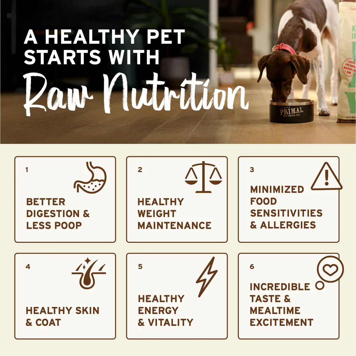 Primal™ Frozen Raw Patties Beef Recipe Dog Food